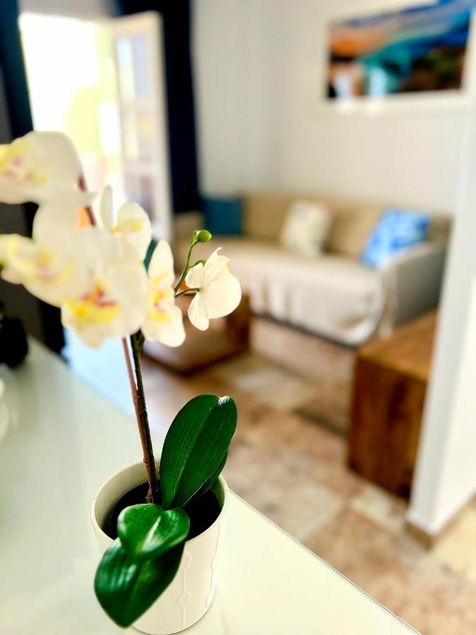 Cosy, New Studio In Costa Adeje Εξωτερικό φωτογραφία